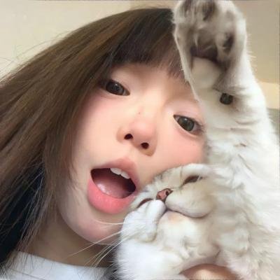 敲敲门 在线观看封面