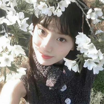 柔似蜜 在线观看封面